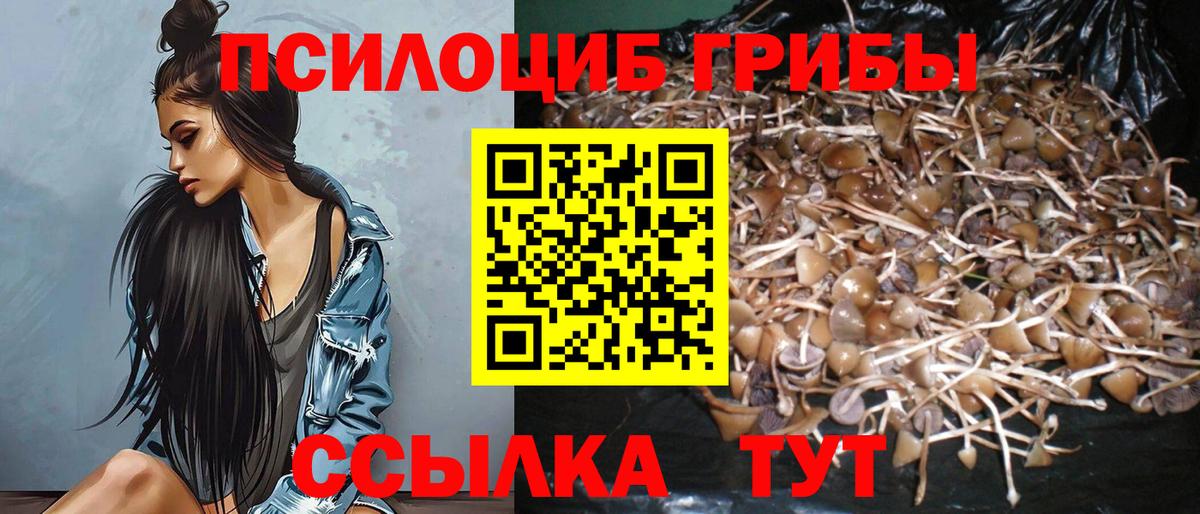Галлюциногенные грибы MAGIC MUSHROOMS Кизляр
