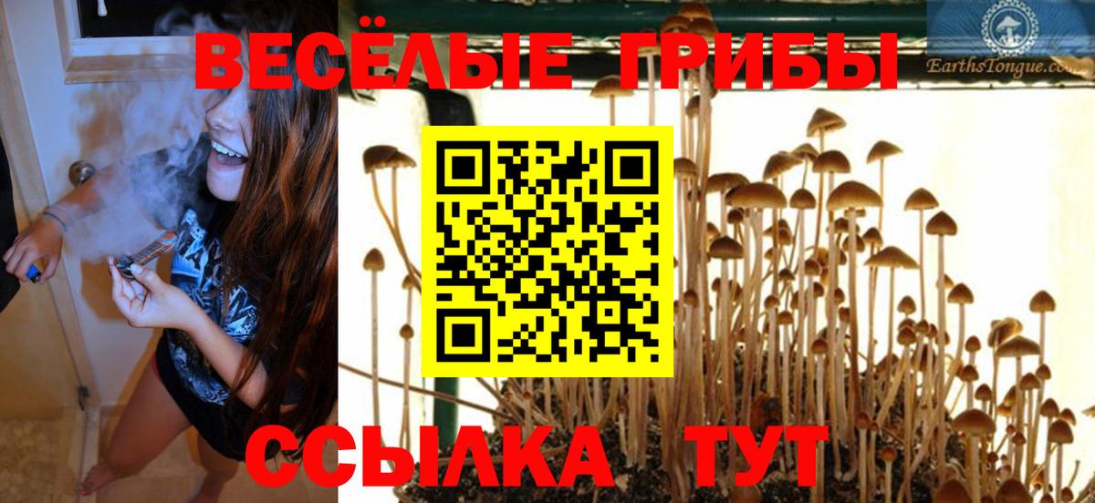 Псилоцибиновые грибы Psilocybe  Вход с VPN  Кизляр  Псилоцибиновые грибы мухоморы 
